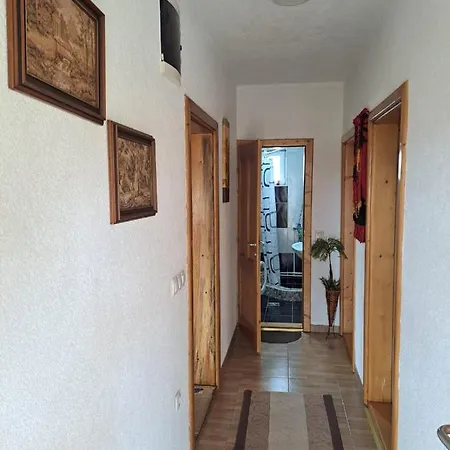 Prenociste Melina * 셰니차